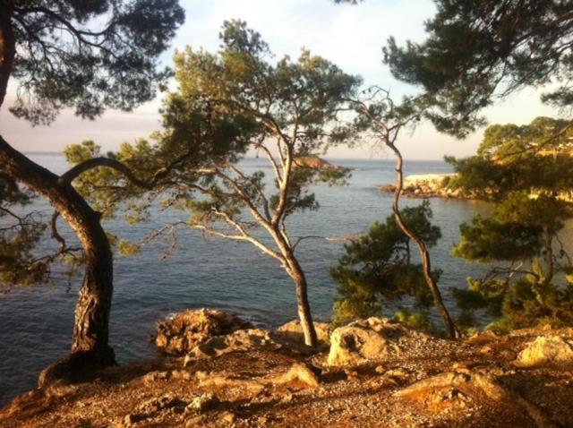 Le Hameau De La Crique De L'Anglaise Bandol Buitenkant foto